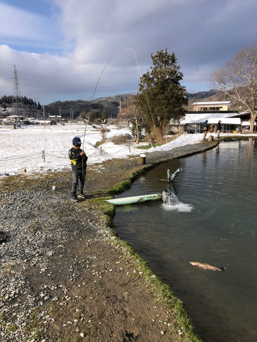 ニジマスの釣果