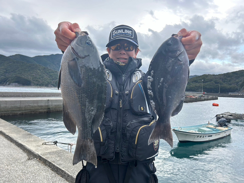 クチブトグレの釣果