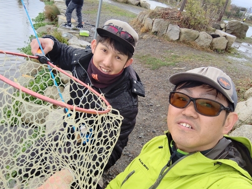 トラウトの釣果