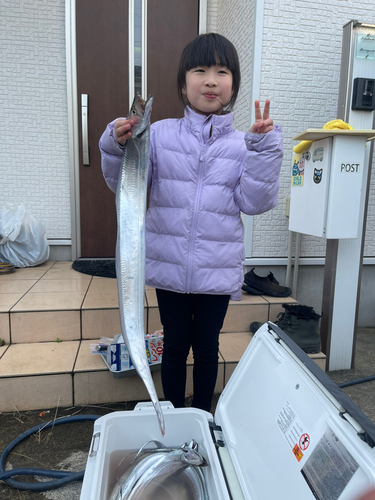 タチウオの釣果