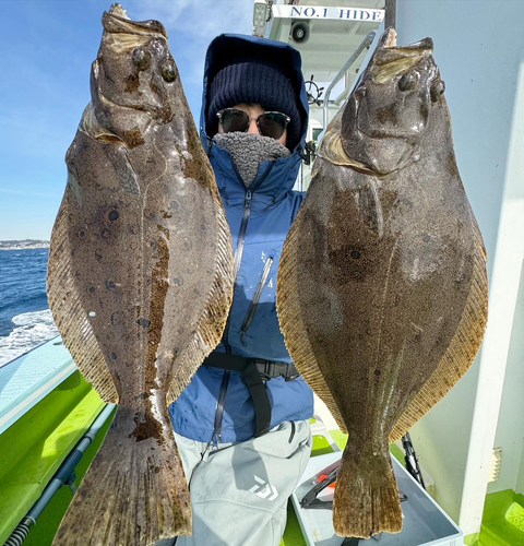 ヒラメの釣果