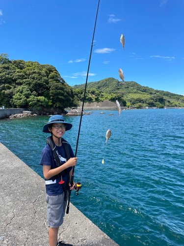 チャリコの釣果