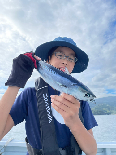 ゴマサバの釣果