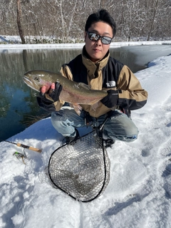 ニジマスの釣果