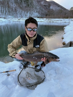 ブラウントラウトの釣果