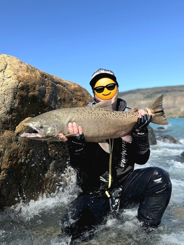 キングサーモンの釣果