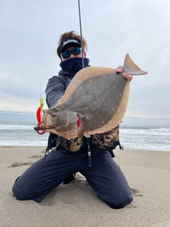 ヒラメの釣果