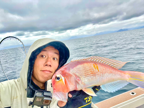 アマダイの釣果