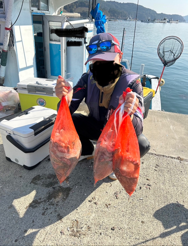 タコの釣果