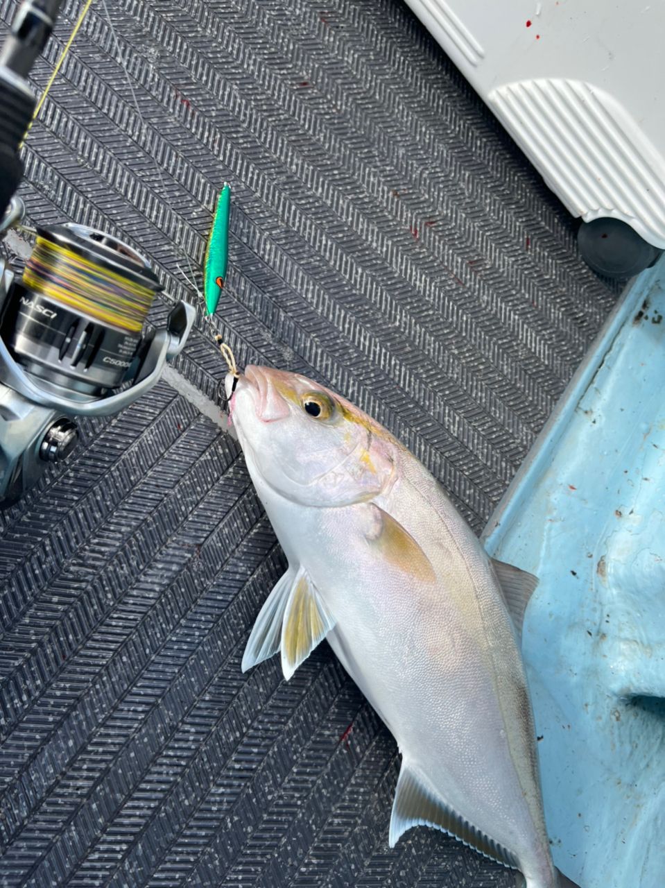 sekitakuさんの釣果 2枚目の画像