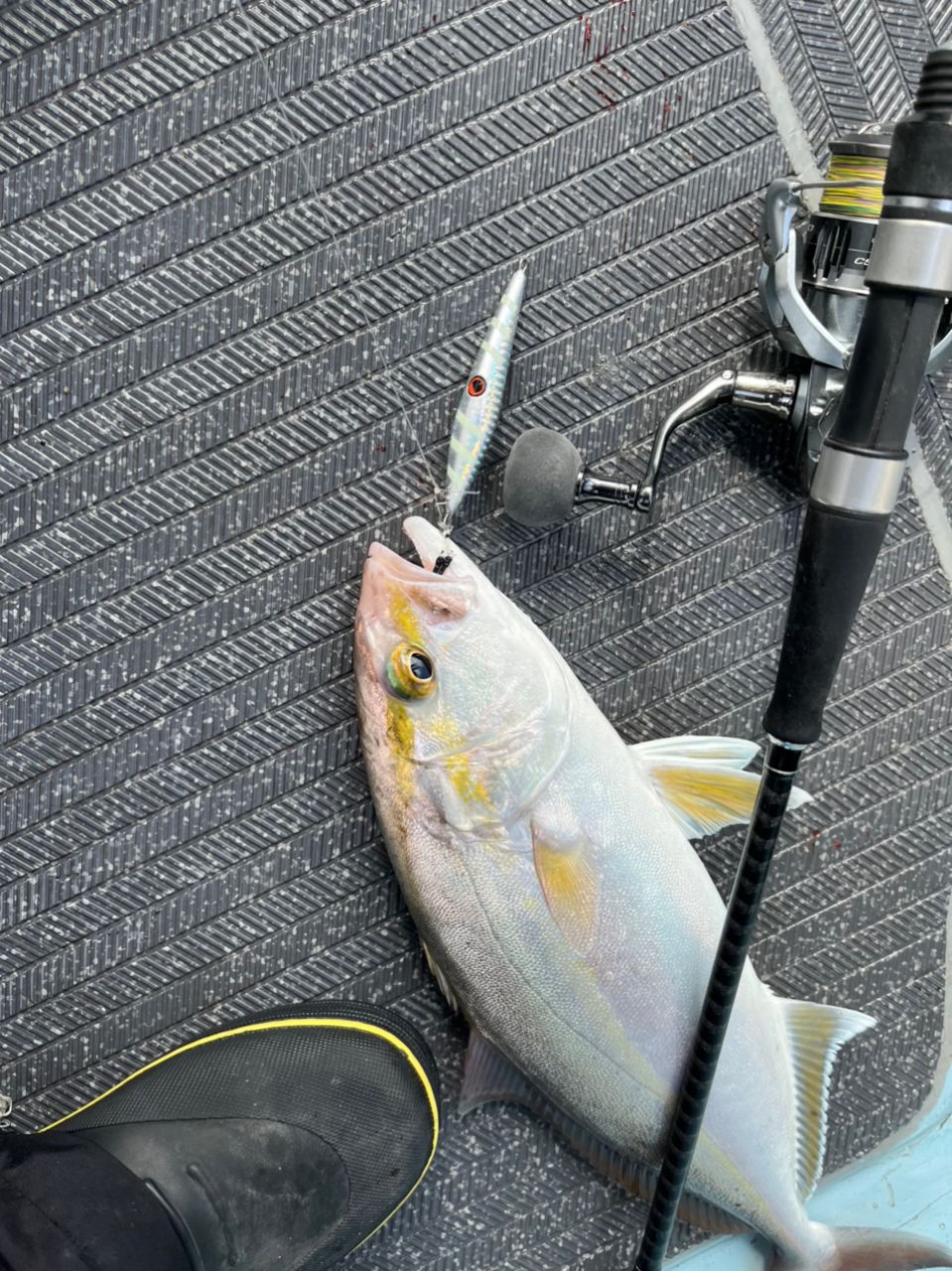 sekitakuさんの釣果 3枚目の画像