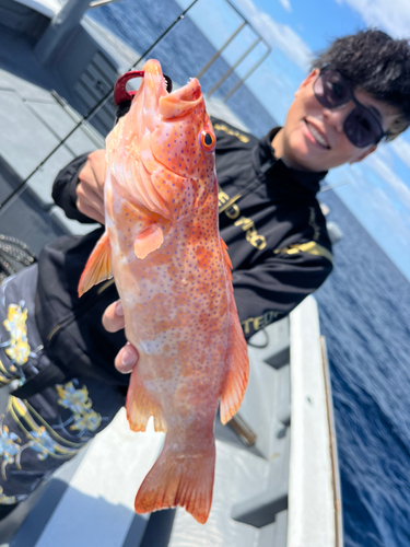 アカジンミーバイの釣果