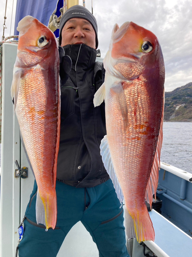 アマダイの釣果