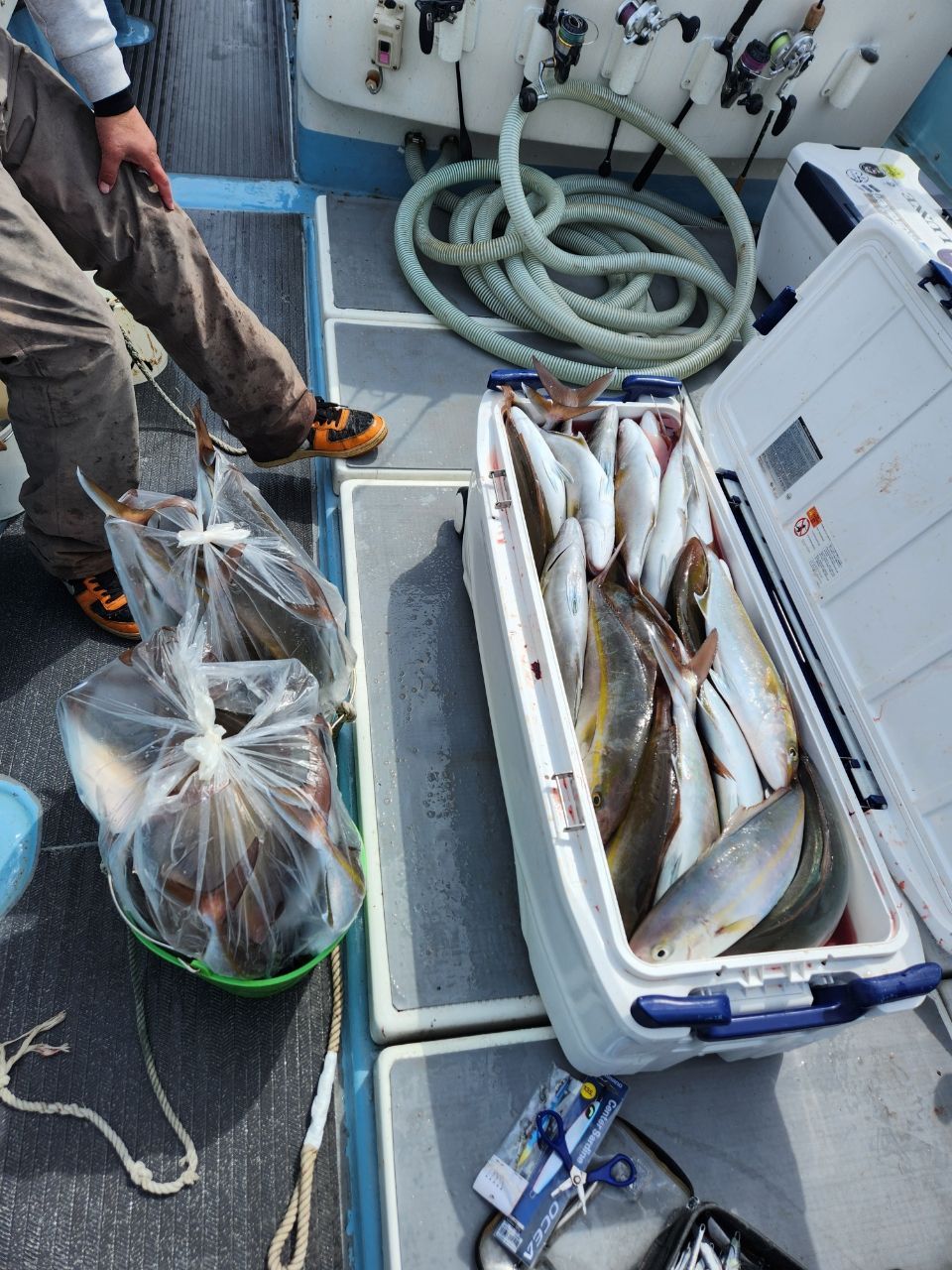 kei.turiさんの釣果 2枚目の画像