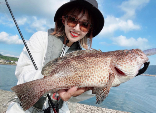 オオモンハタの釣果