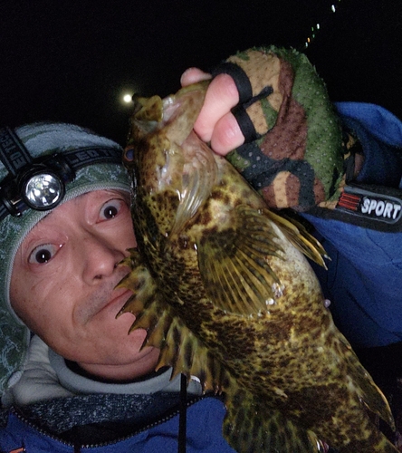 タケノコメバルの釣果