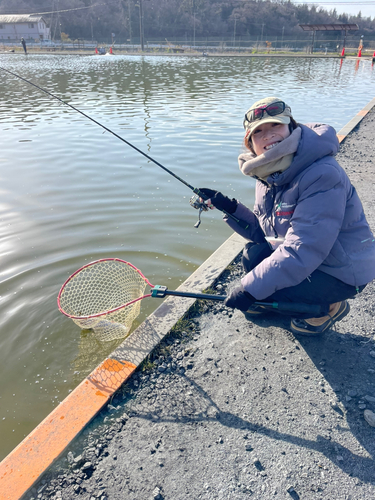 ニジマスの釣果