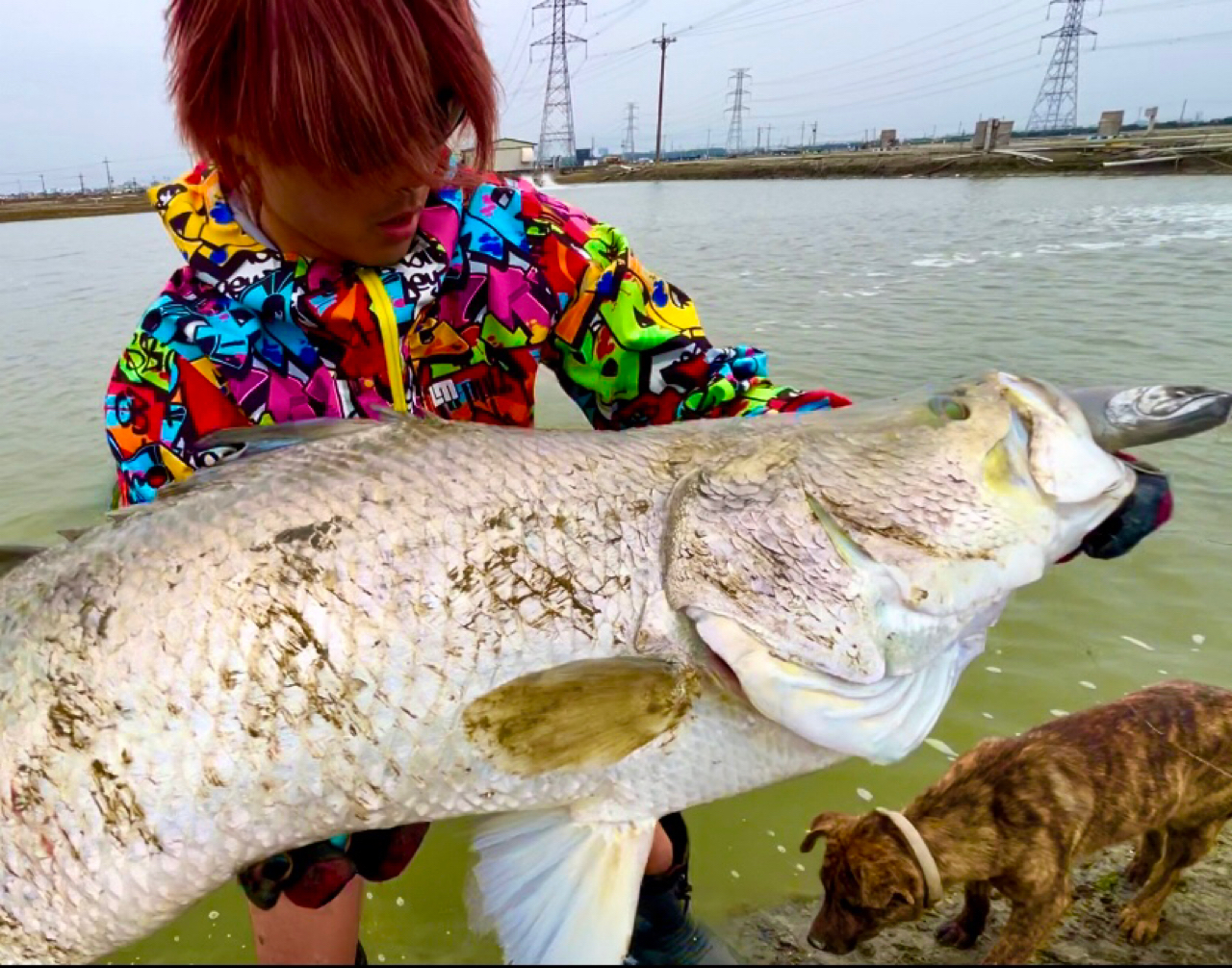 TULALA 21M.M.A ユナイテッド 73Mの最安値・インプレ・釣果