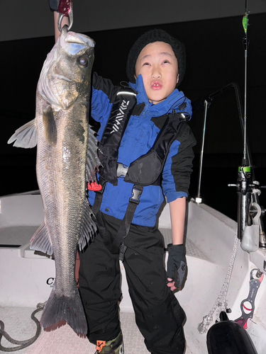 スズキの釣果