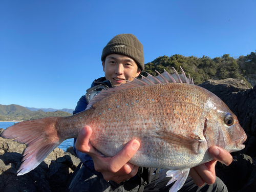 タイの釣果