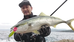 ハマチの釣果