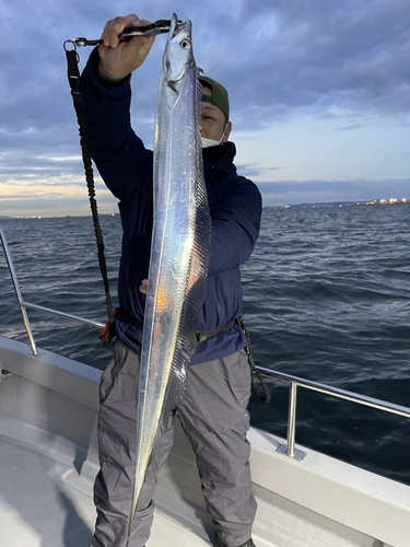 タチウオの釣果