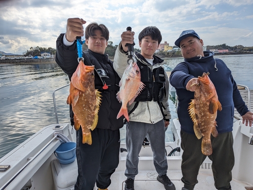 アコウの釣果