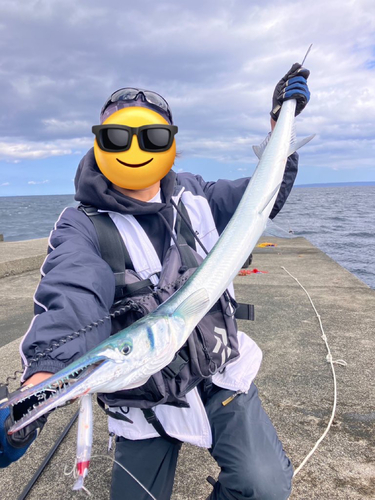 オキザヨリの釣果