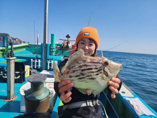 カワハギの釣果