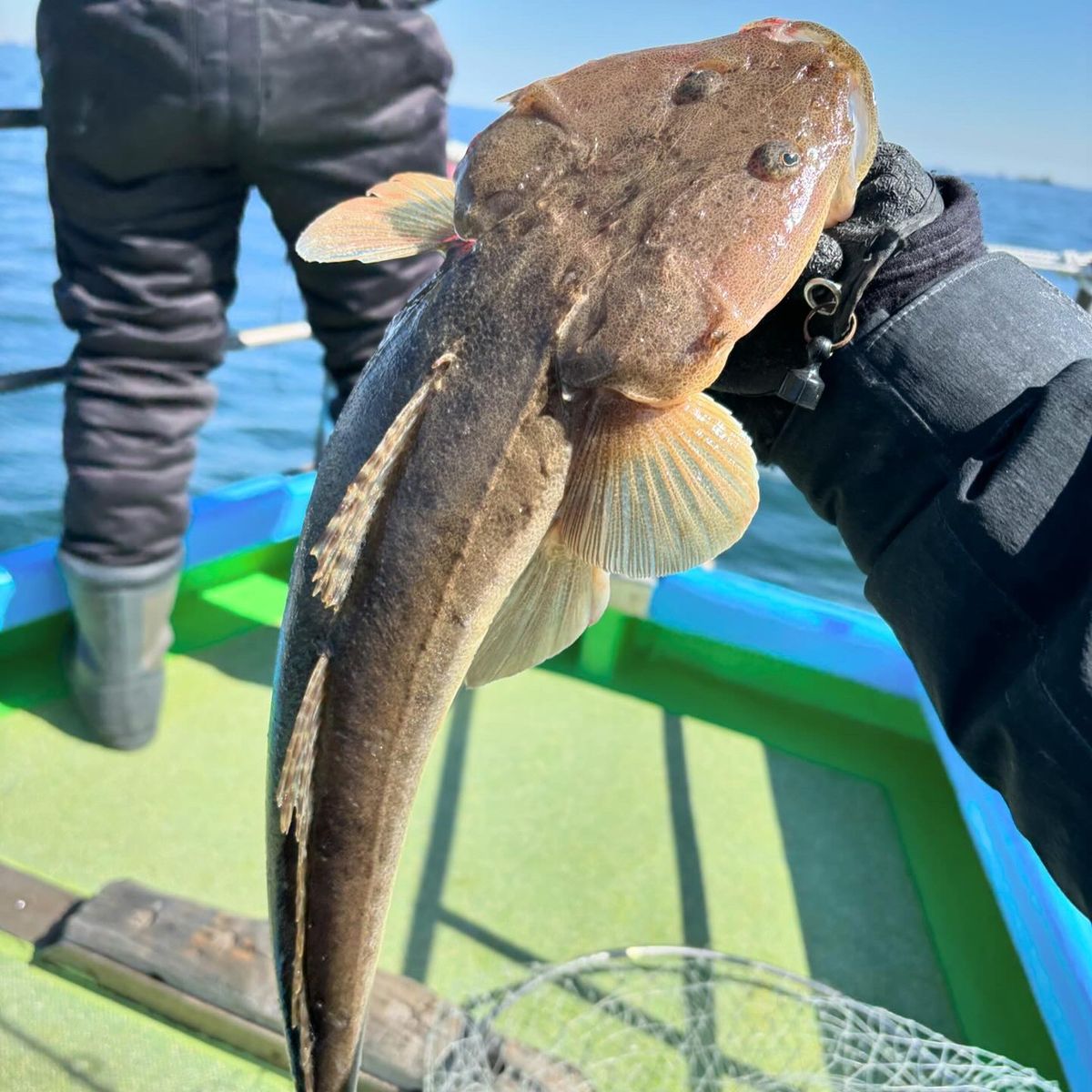 伊勢隼人【マゴチハンター】さんの釣果 3枚目の画像