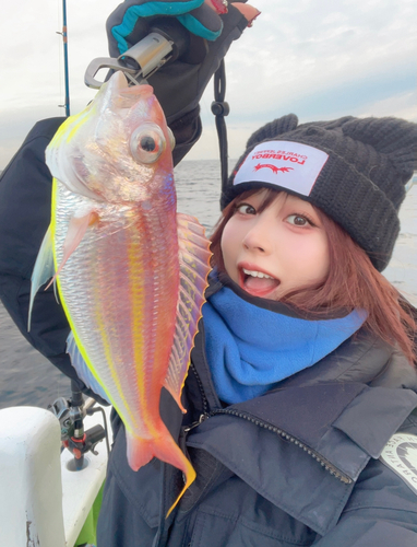 イトヨリダイの釣果