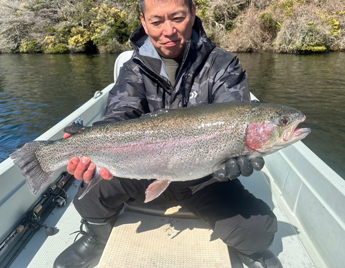 ニジマスの釣果