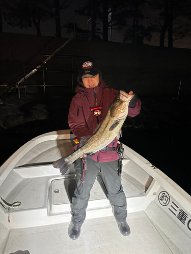 シーバスの釣果