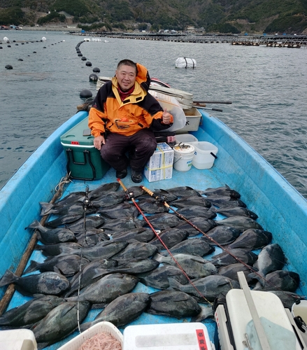 クチブトグレの釣果