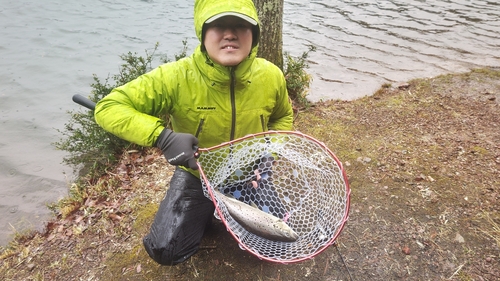 トラウトの釣果