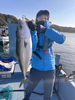 ブリの釣果