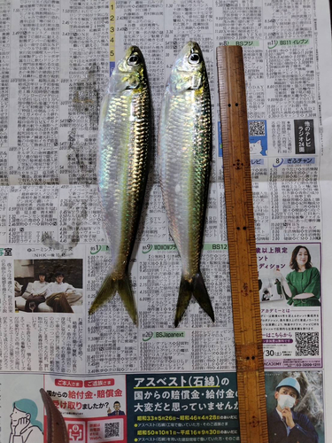 釣果