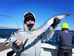 タチウオの釣果