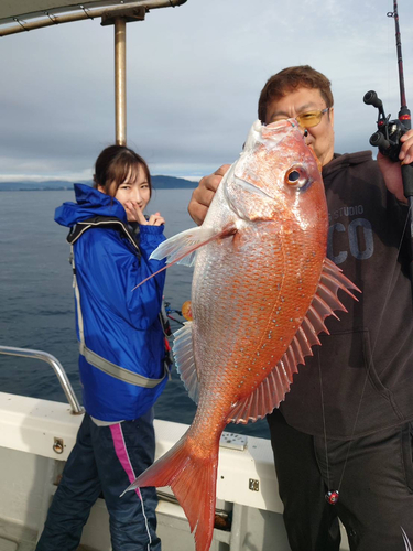 マダイの釣果