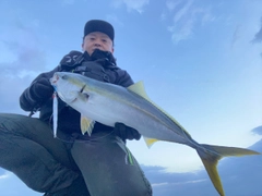 ブリの釣果