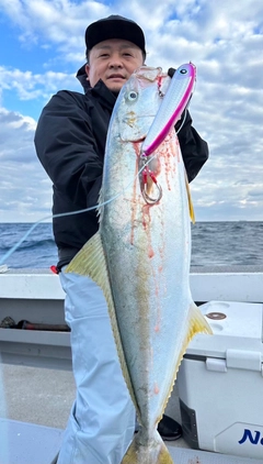 ヒラマサの釣果