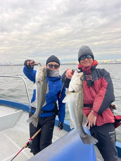 シーバスの釣果