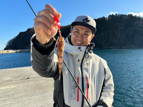 リュウグウハゼの釣果