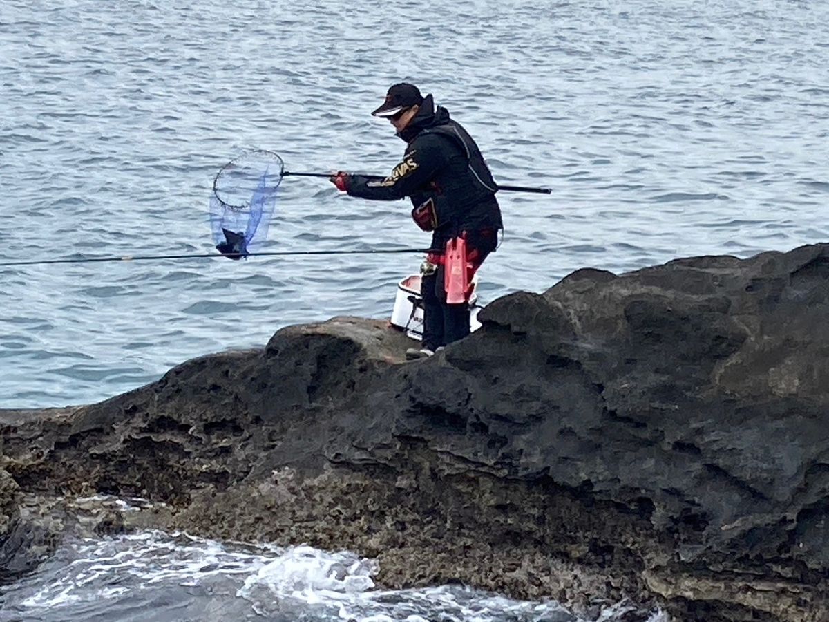 ビーサンさんの釣果 3枚目の画像