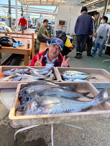 メダイの釣果