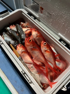 キンメダイの釣果