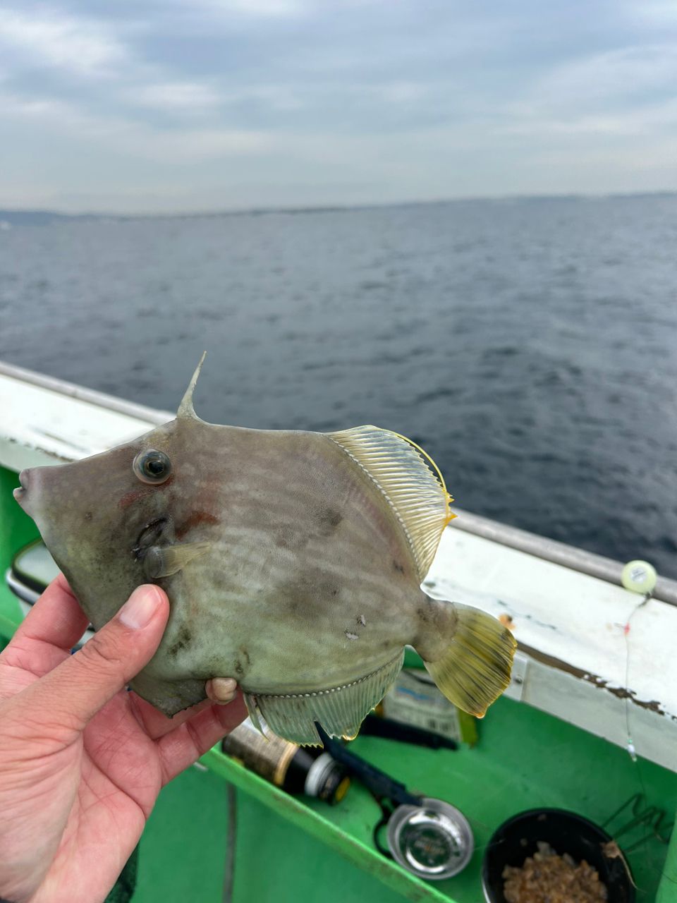 きンちゃンさんの釣果 2枚目の画像