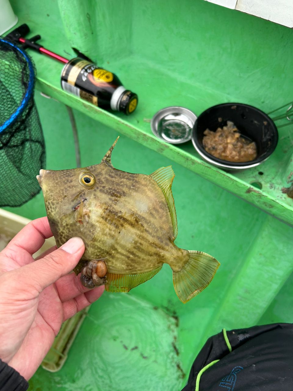 きンちゃンさんの釣果 3枚目の画像