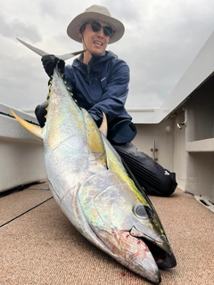 キハダマグロの釣果