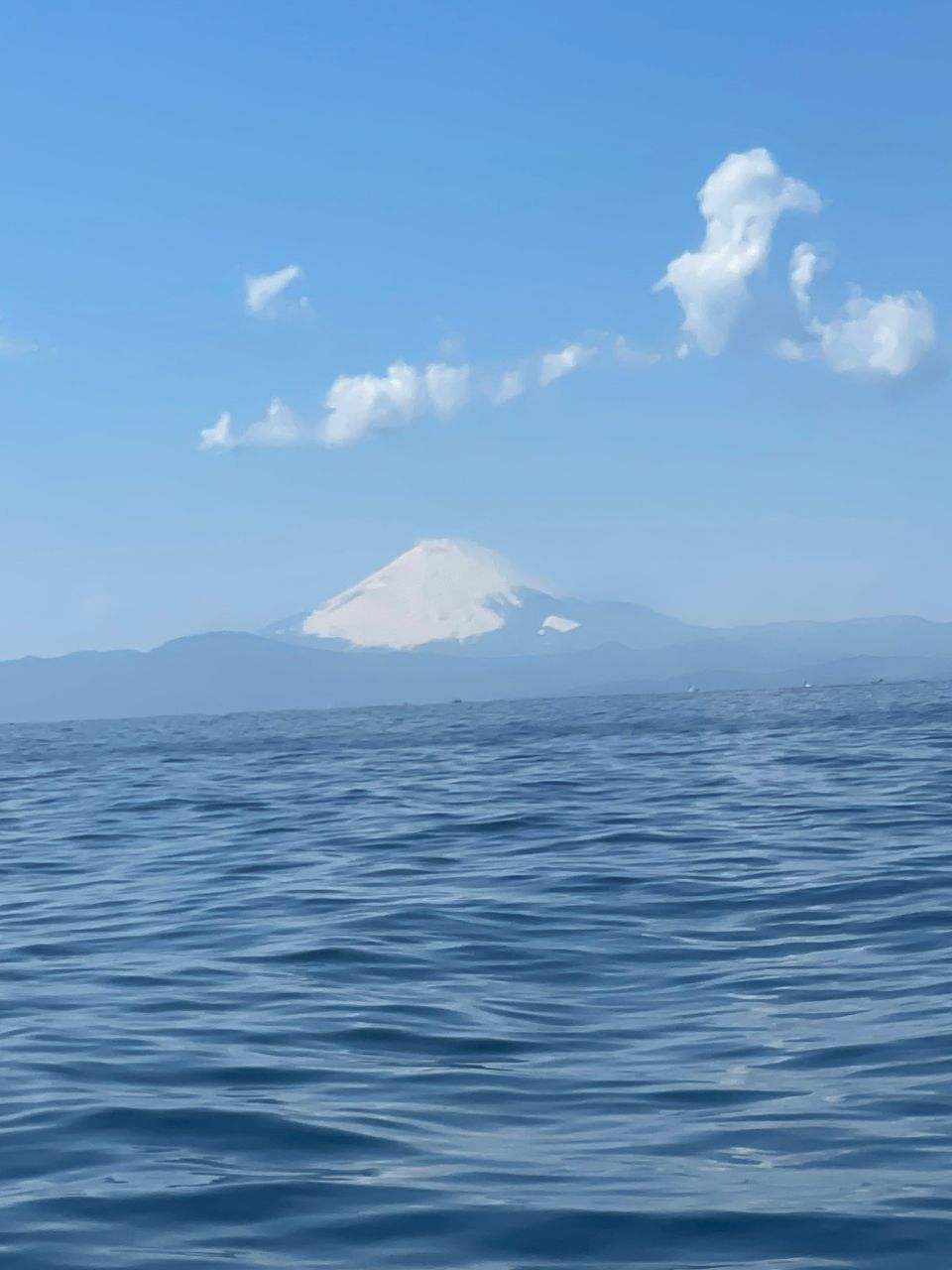 金沢八景のつり吉さんの釣果 2枚目の画像